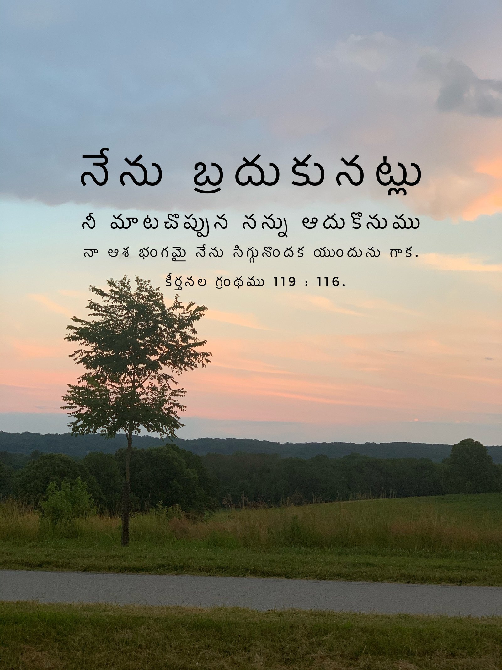 Psalm 119:116
