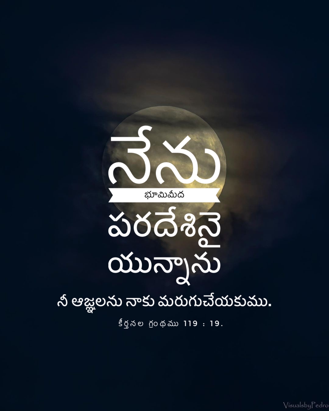 Psalm 119:19