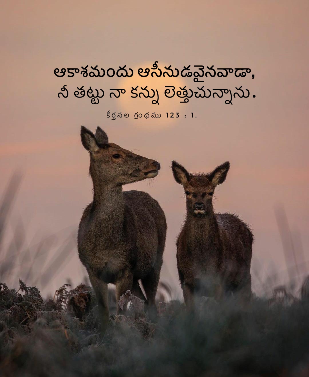 Psalm 123:1