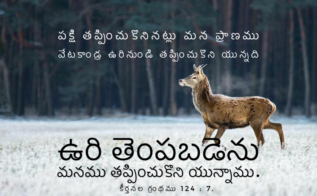 Psalm 124:7