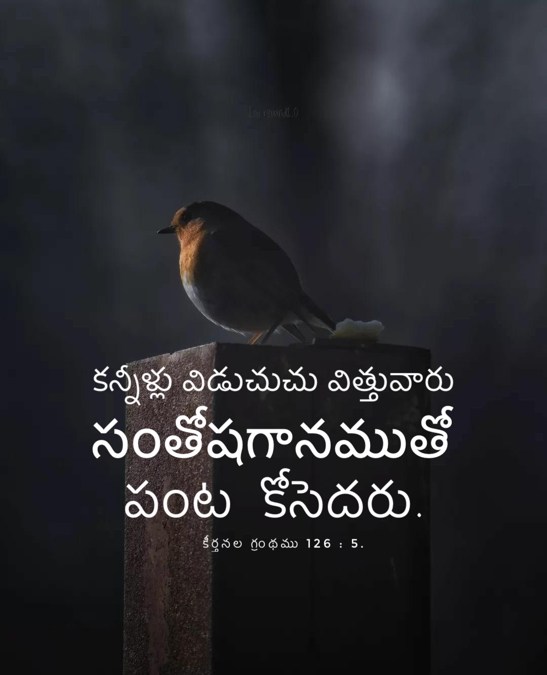 Psalm 126:5