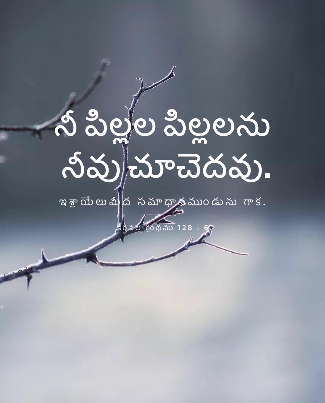 Psalm 128:6