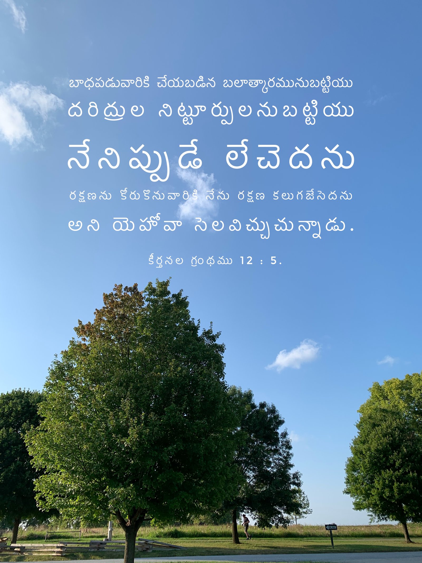 Psalm 12:5