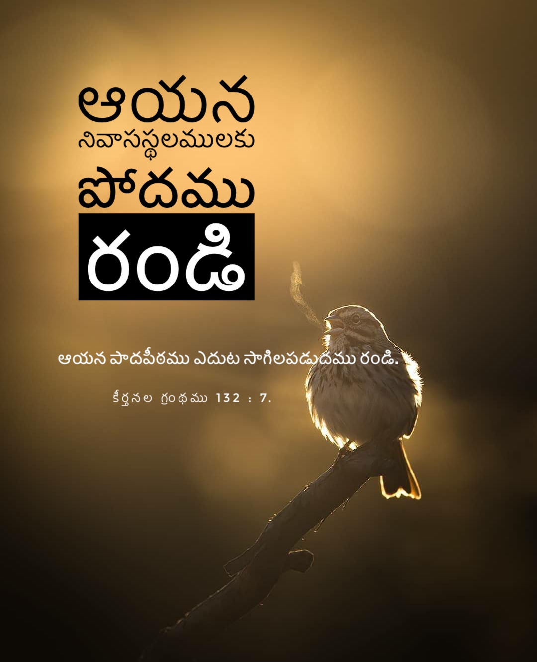 Psalm 132:7