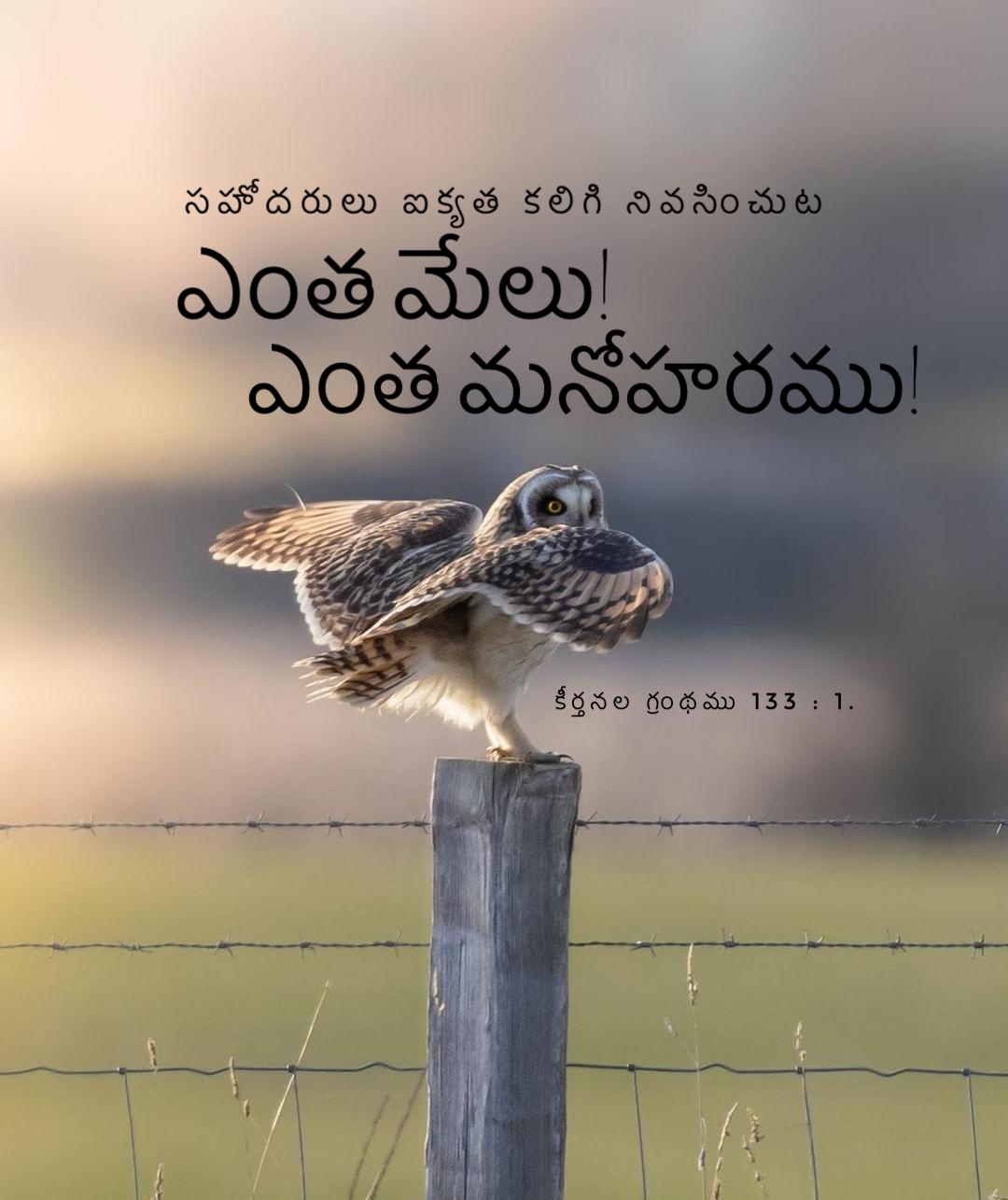 Psalm 133:1