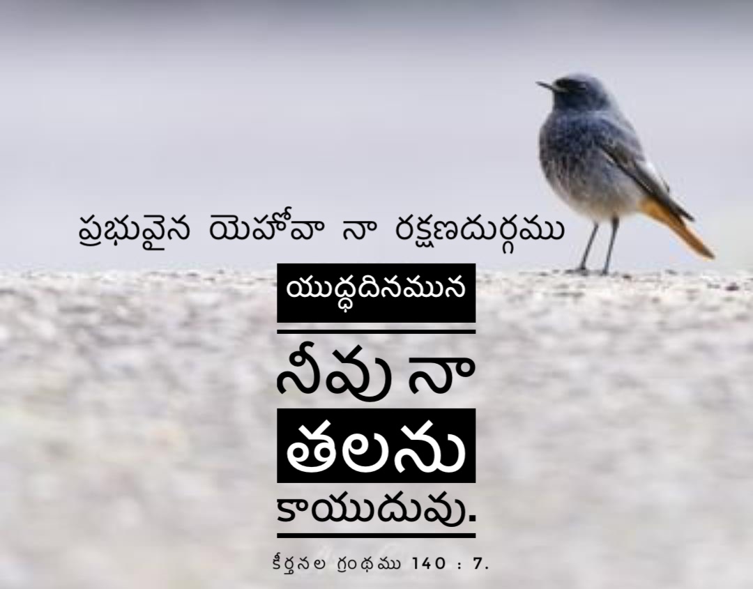 Psalm 140:7