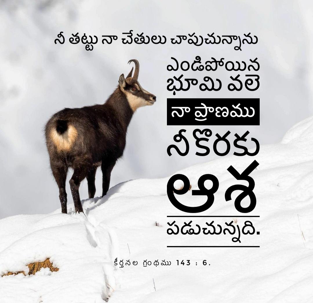 Psalm 143:6