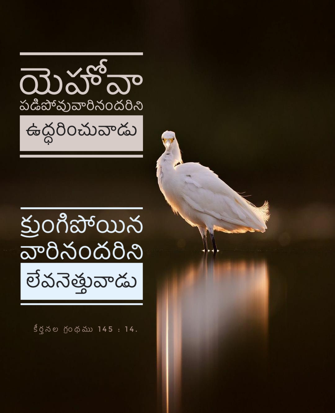Psalm 145:14