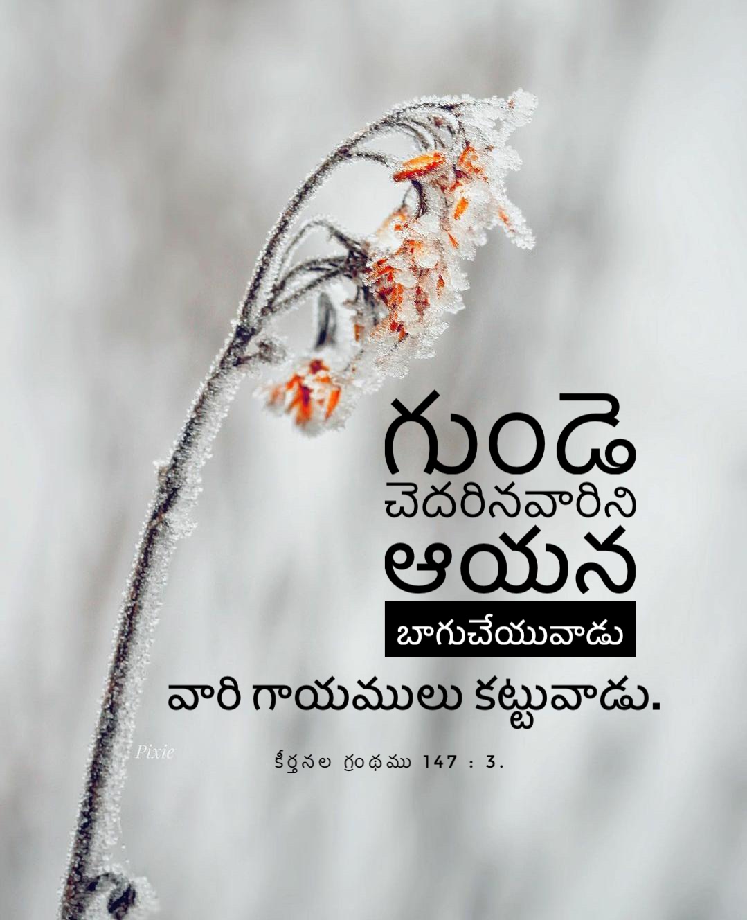 Psalm 147:3