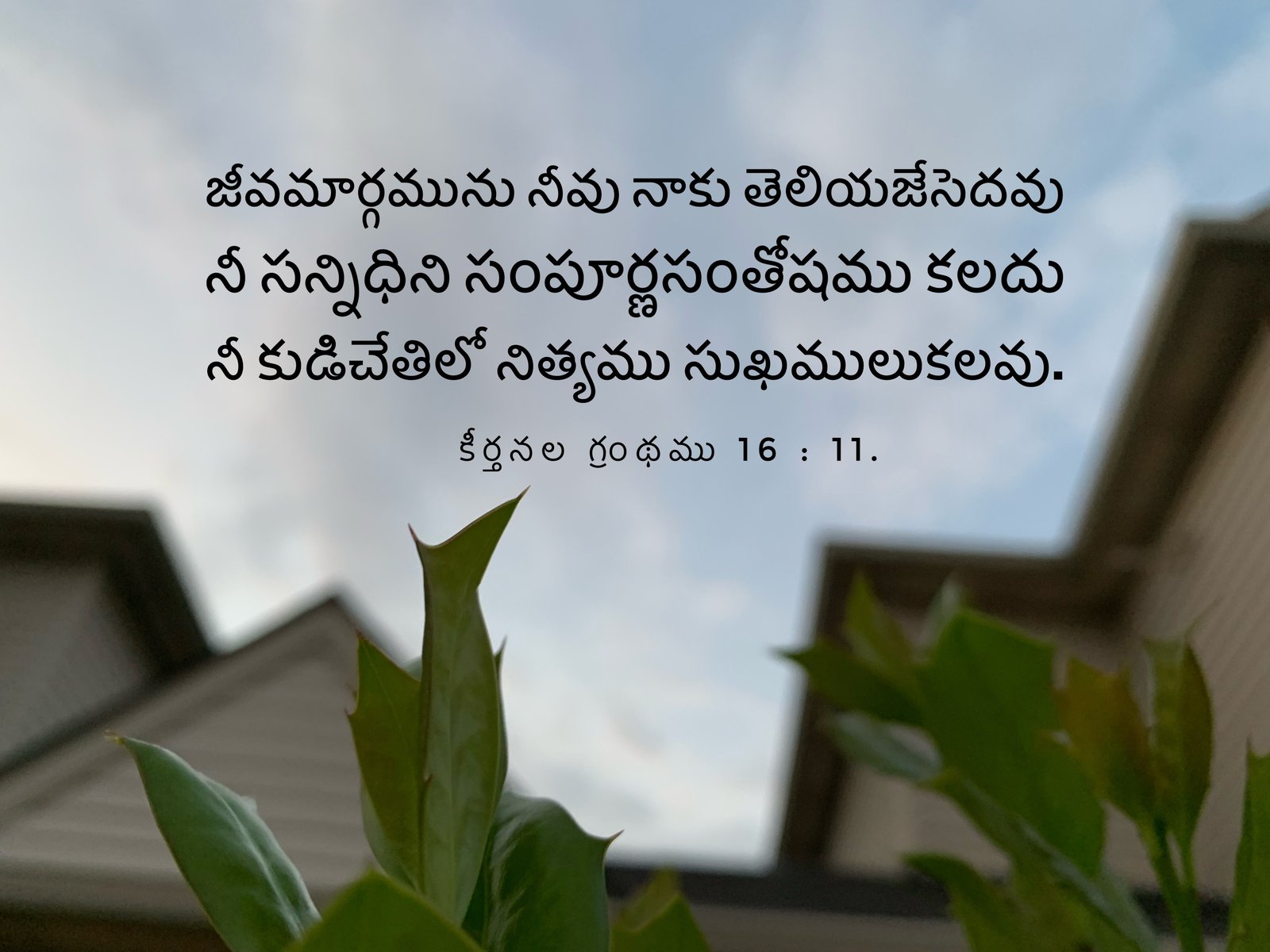 Psalm 16:11