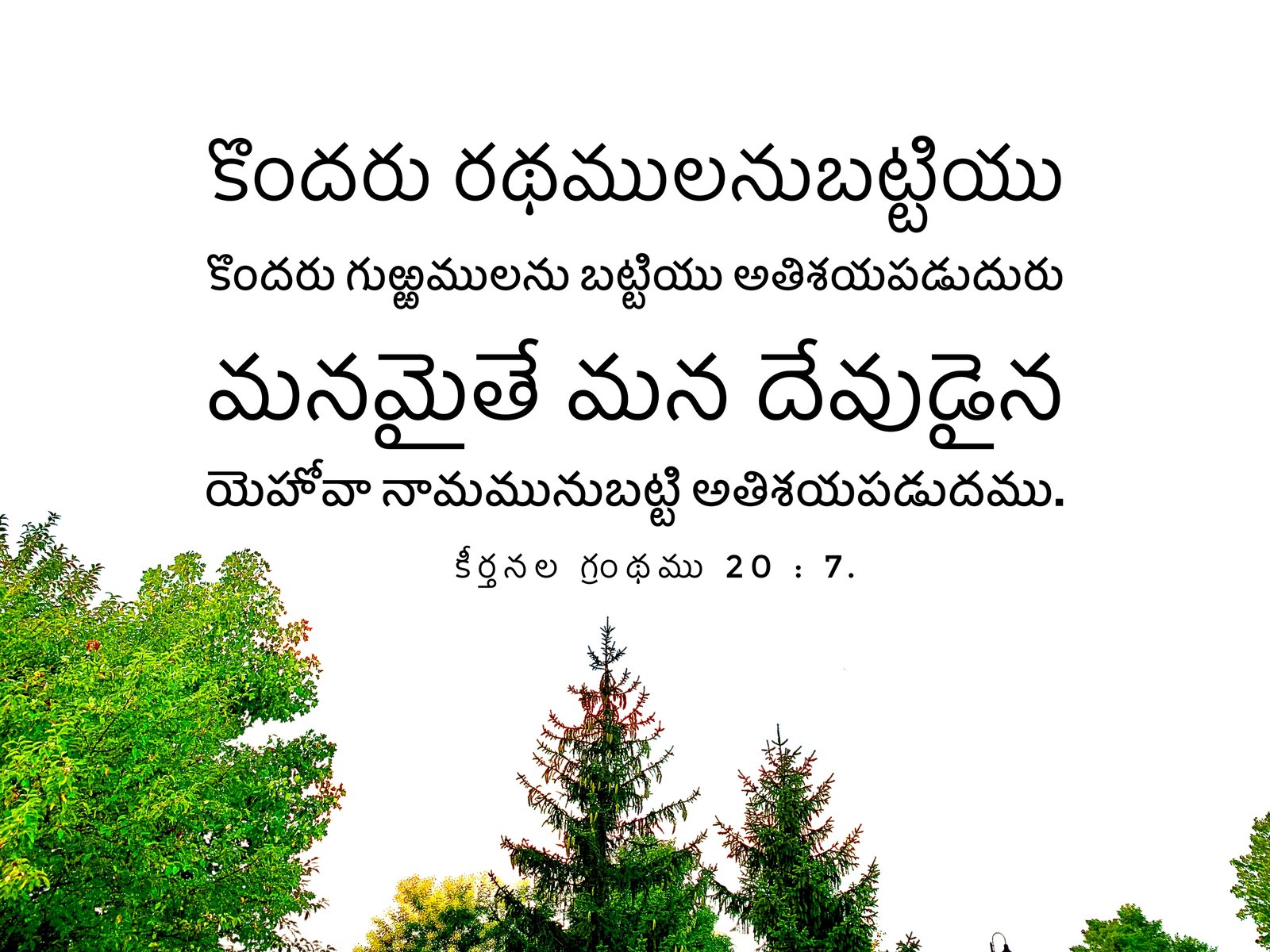 Psalm 20:7