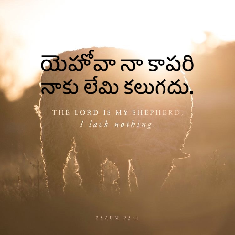 Psalm 23:1