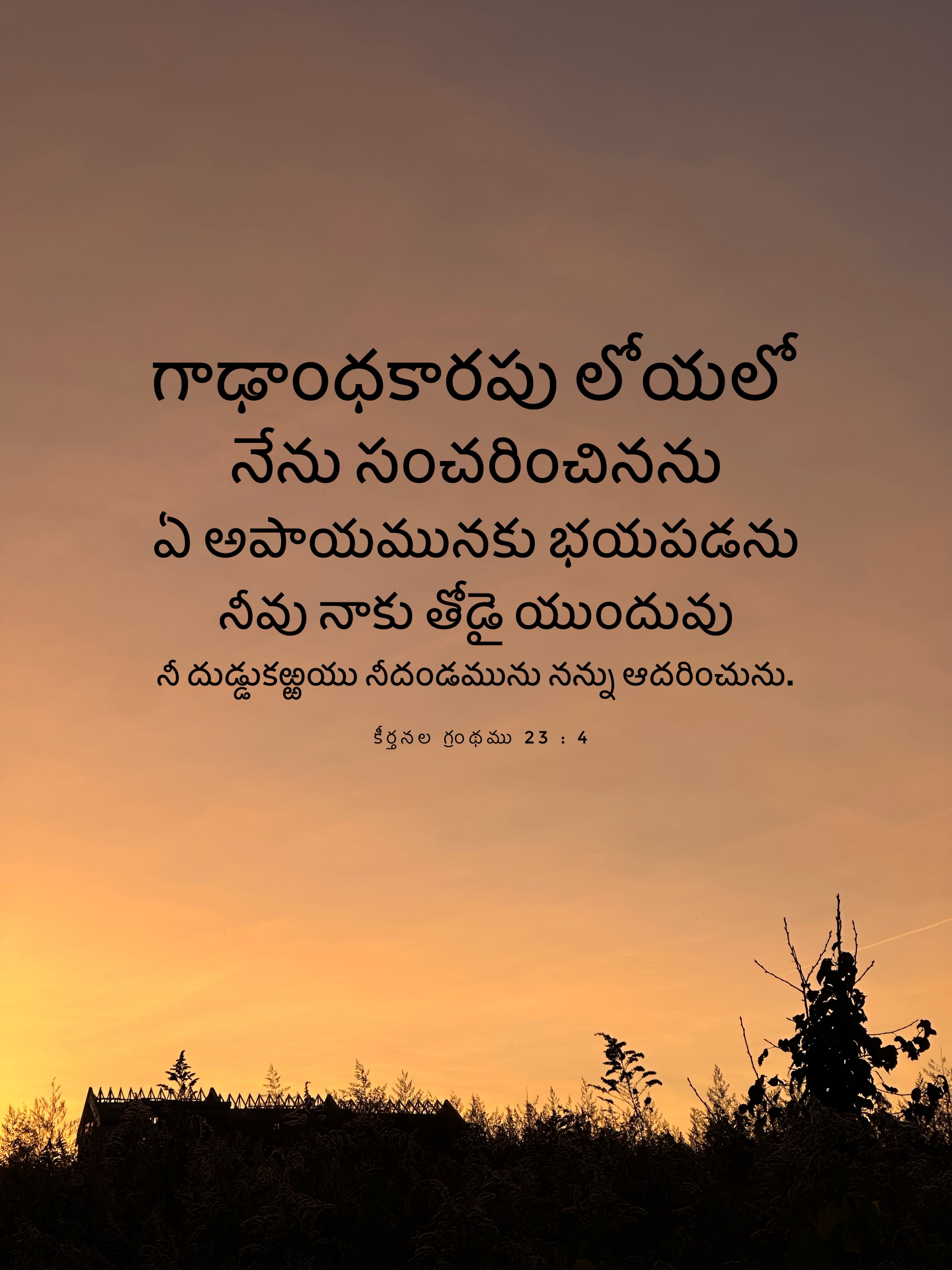 Psalm 23:4