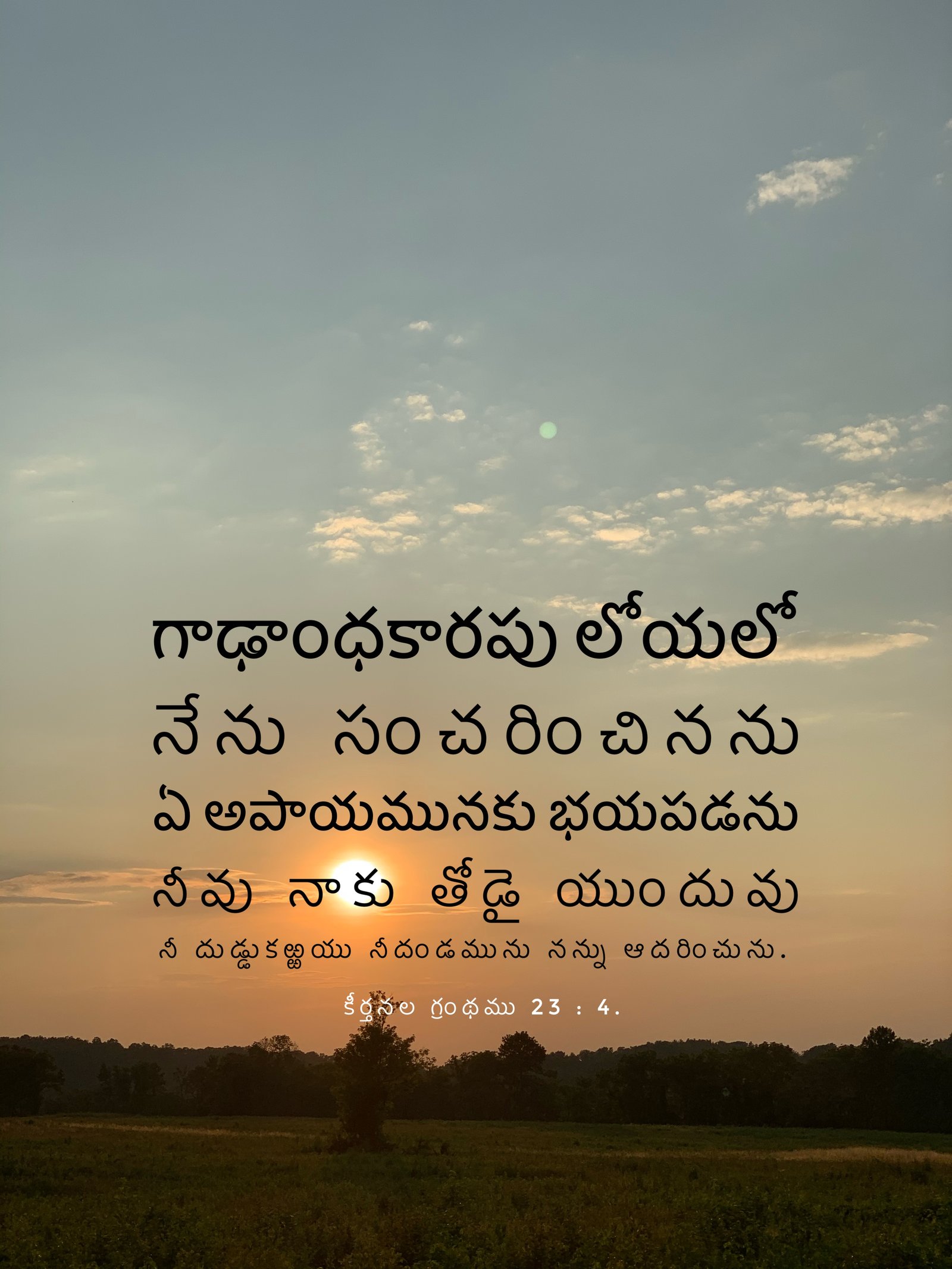 Psalm 23:4