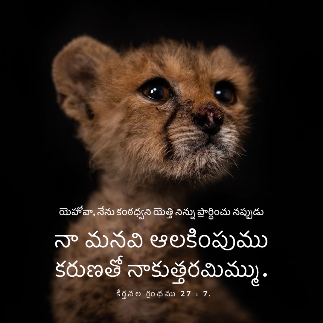 Psalm 27:7