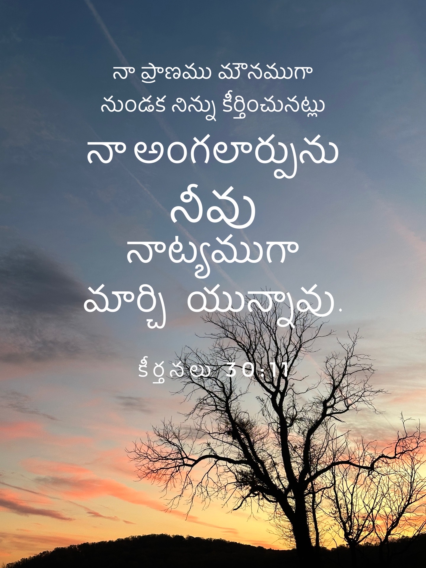 Psalm 30:11 - నా ప్రాణము మౌనముగా నుండక నిన్ను కీర్తించునట్లు నా అంగలార్పును నీవు నాట్యముగా మార్చి యున్నావు.