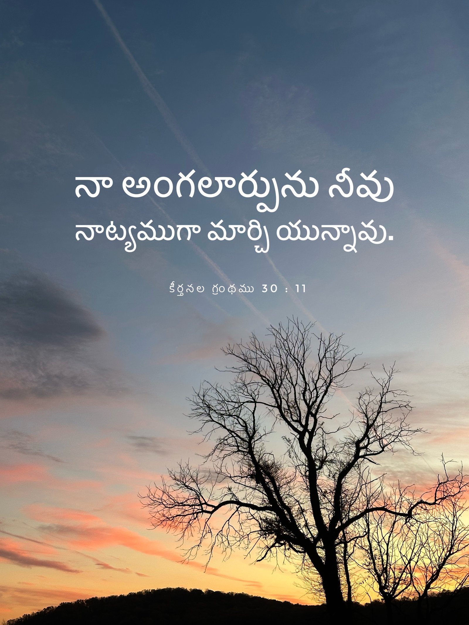 Psalm 30:11