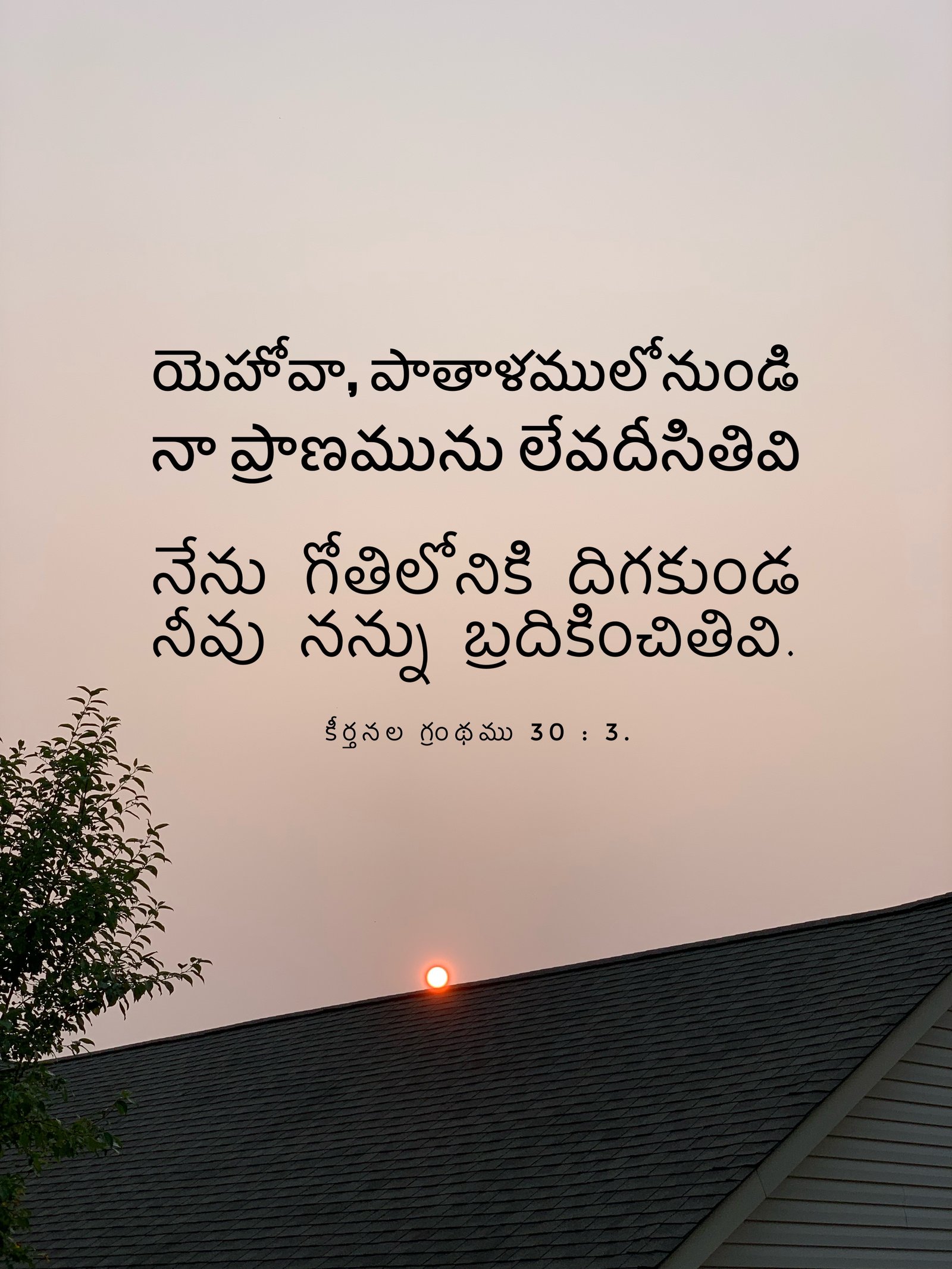 Psalm 30:3