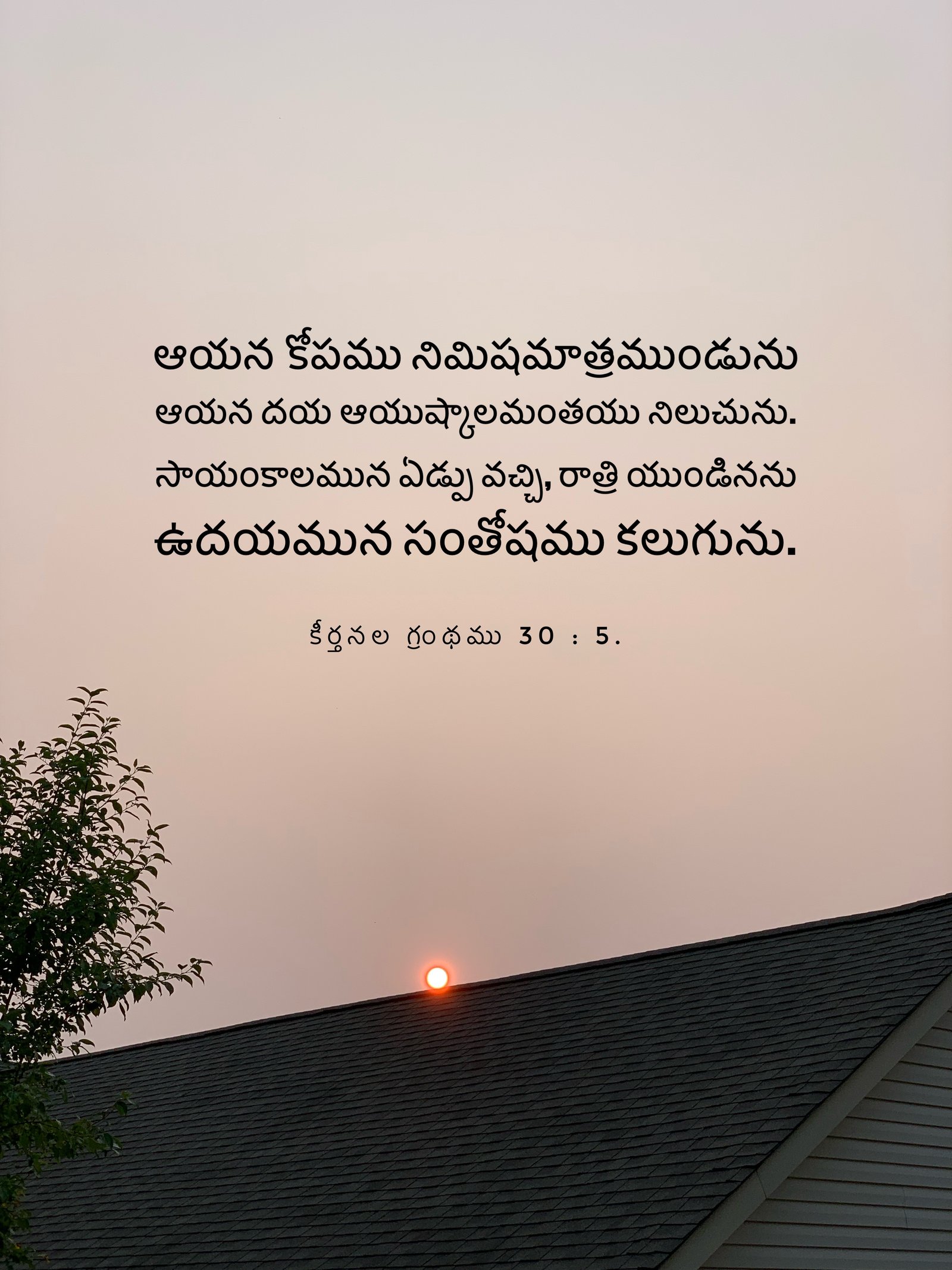 Psalm 30:5