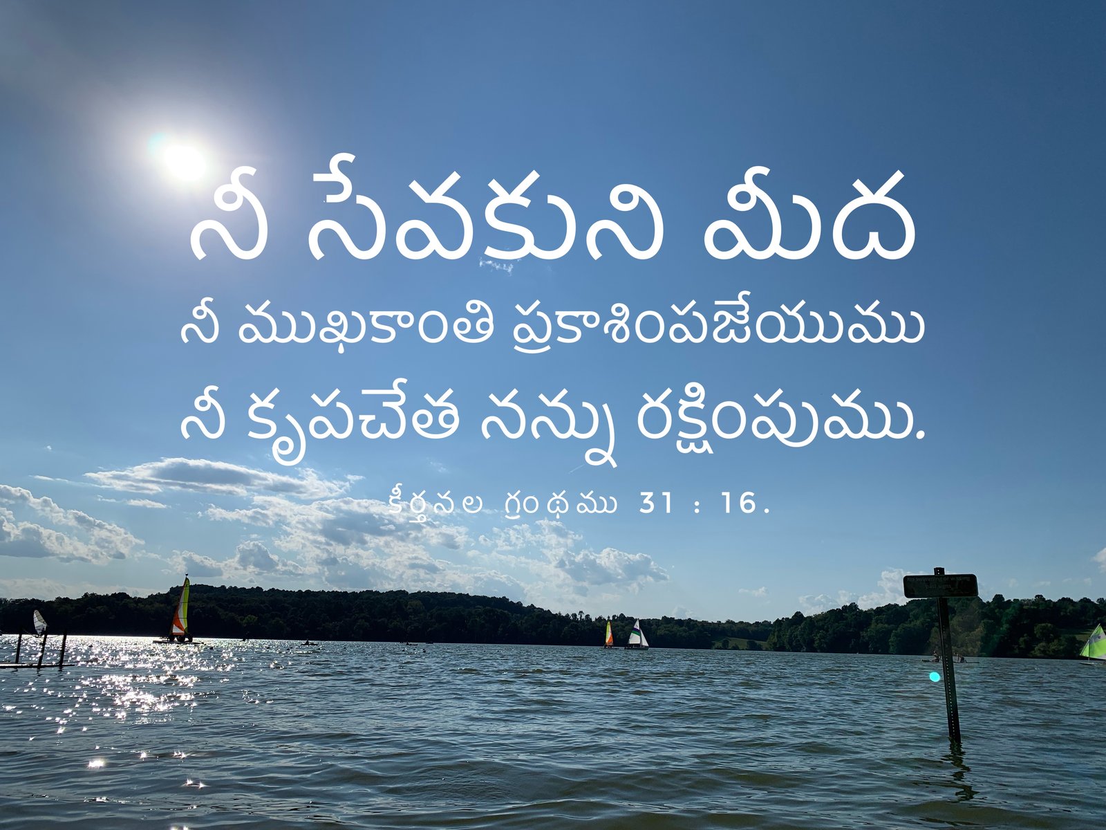 Psalm 31:16