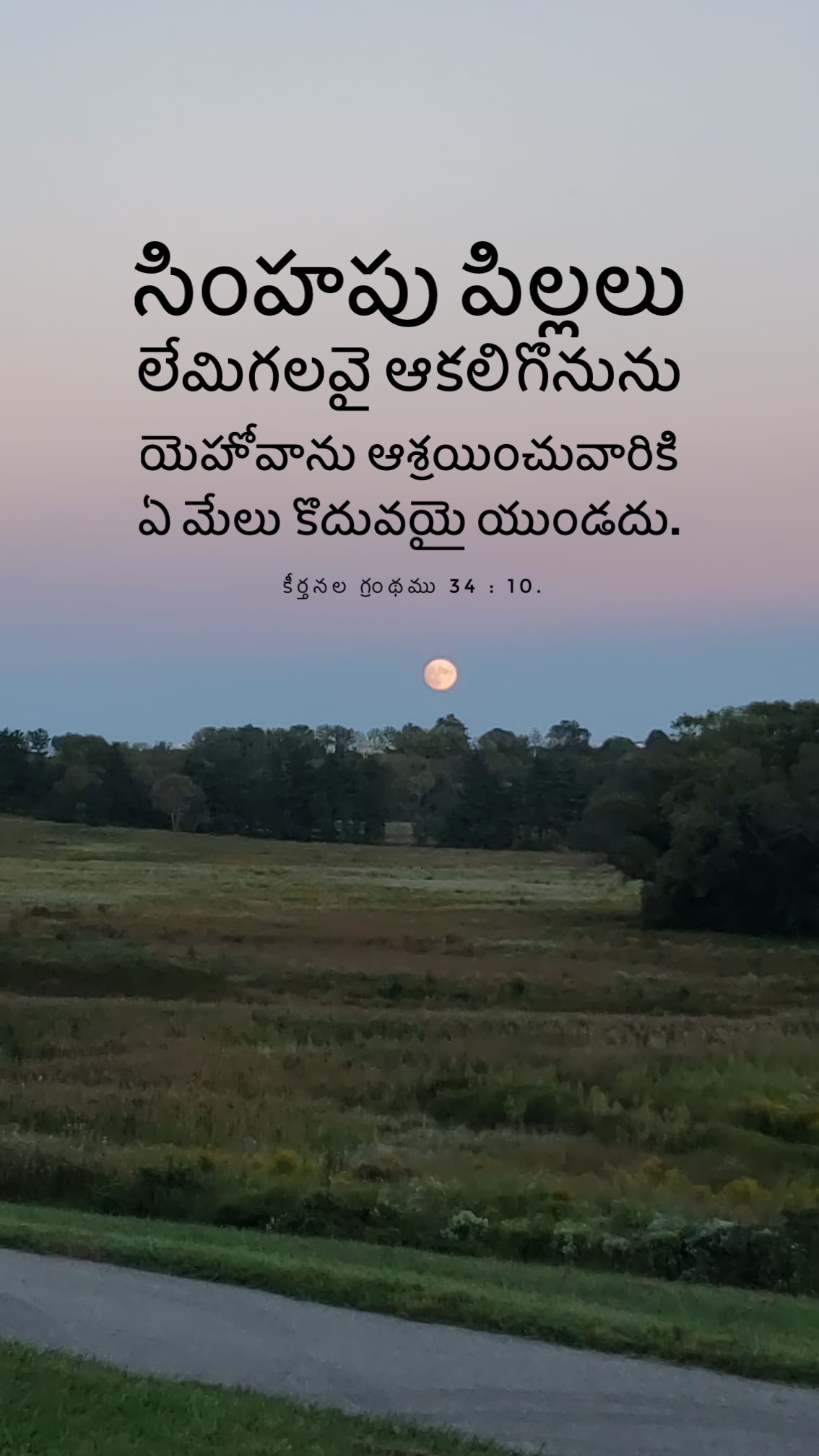 Psalm 34:10