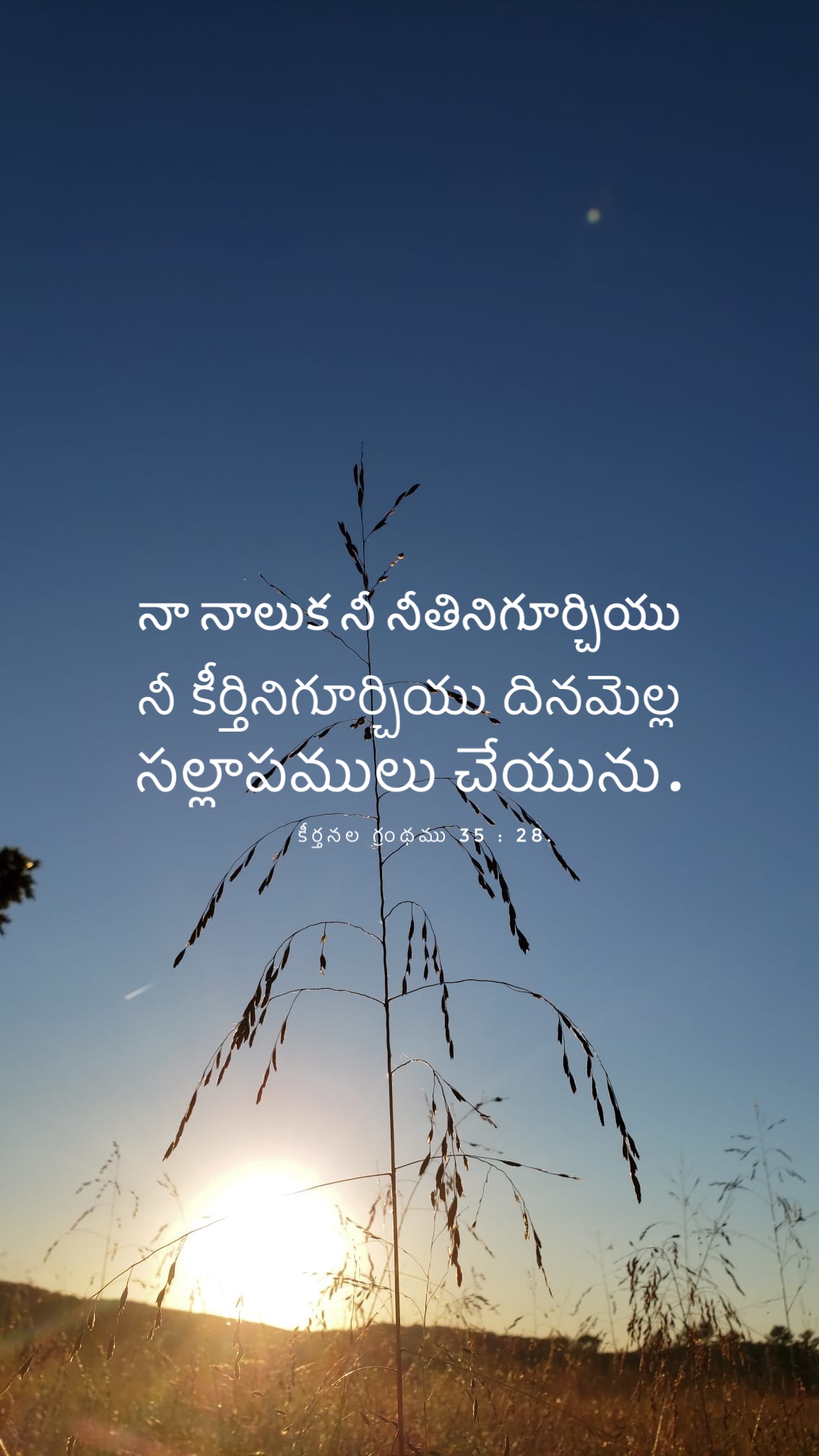 Psalm 35:28