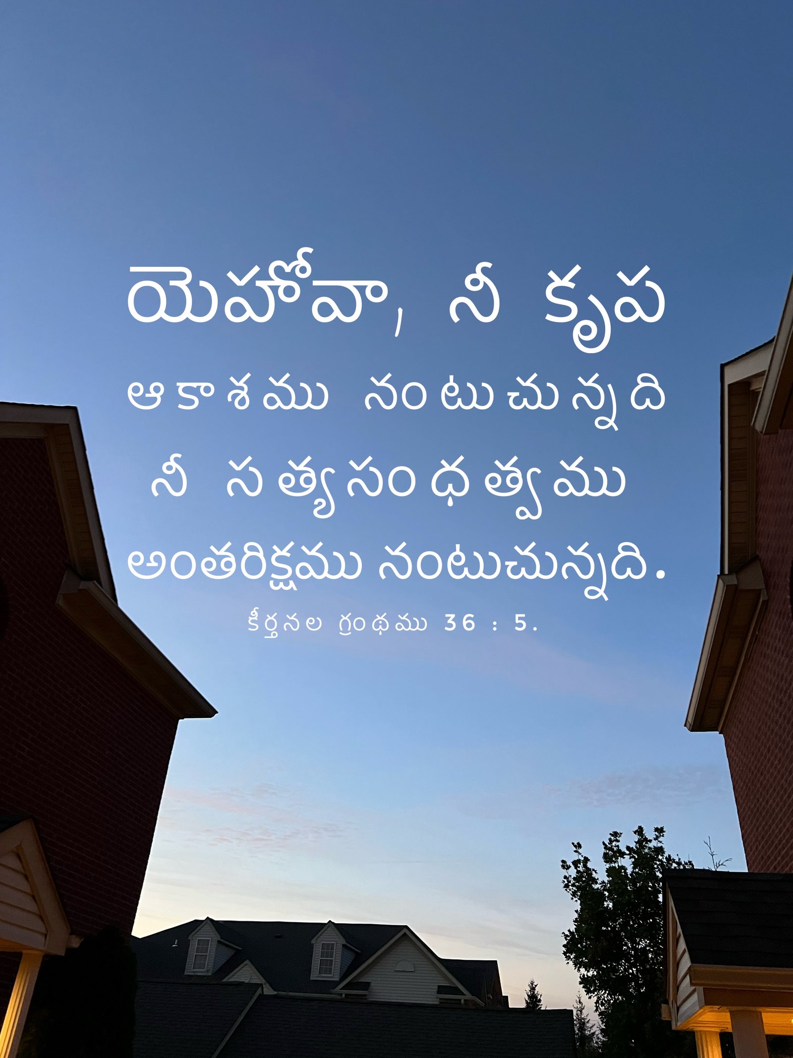 Psalm 36:5