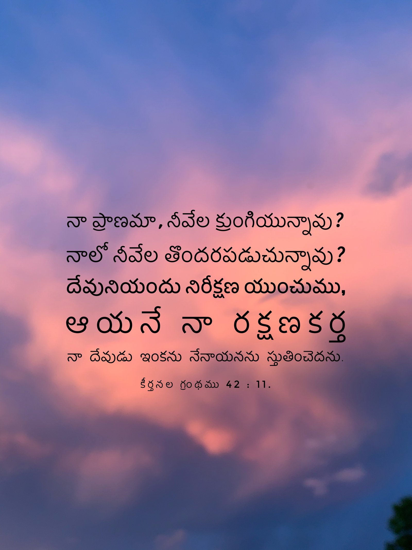 Psalm 42:11