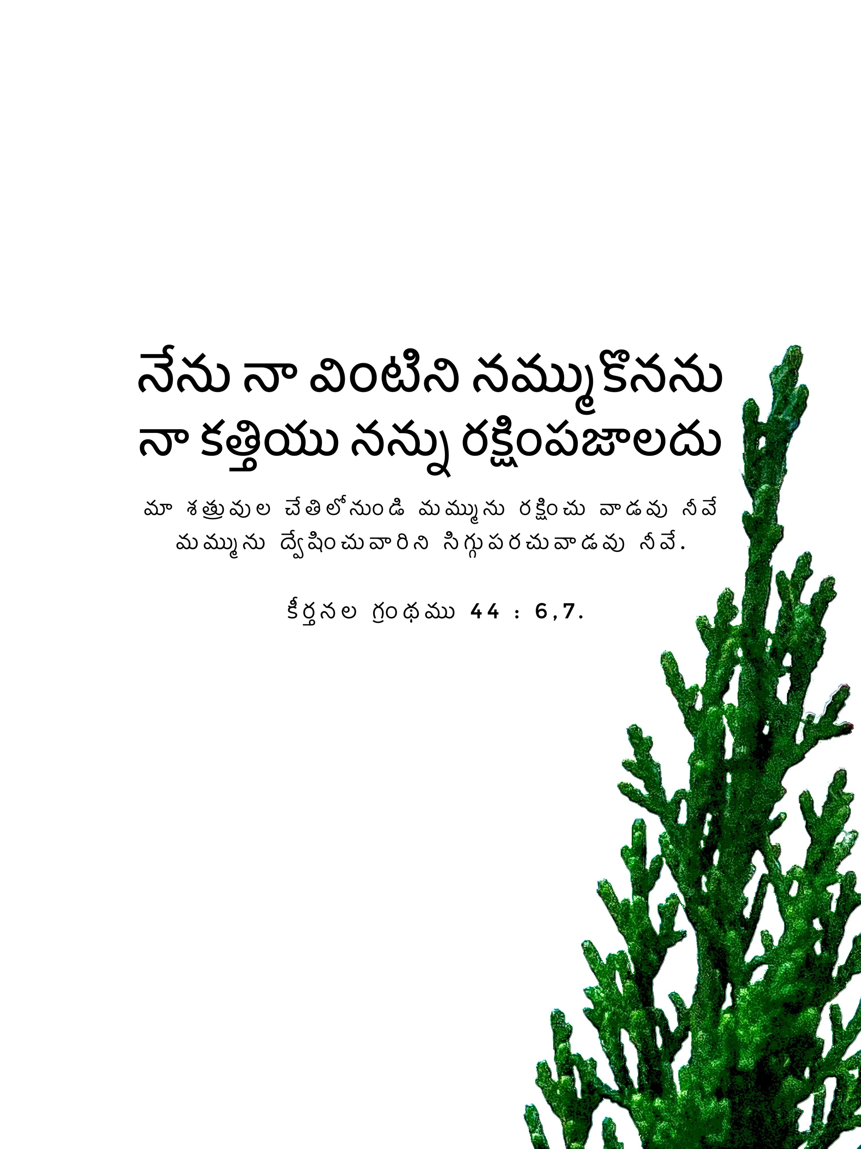 Psalm 44:6-7