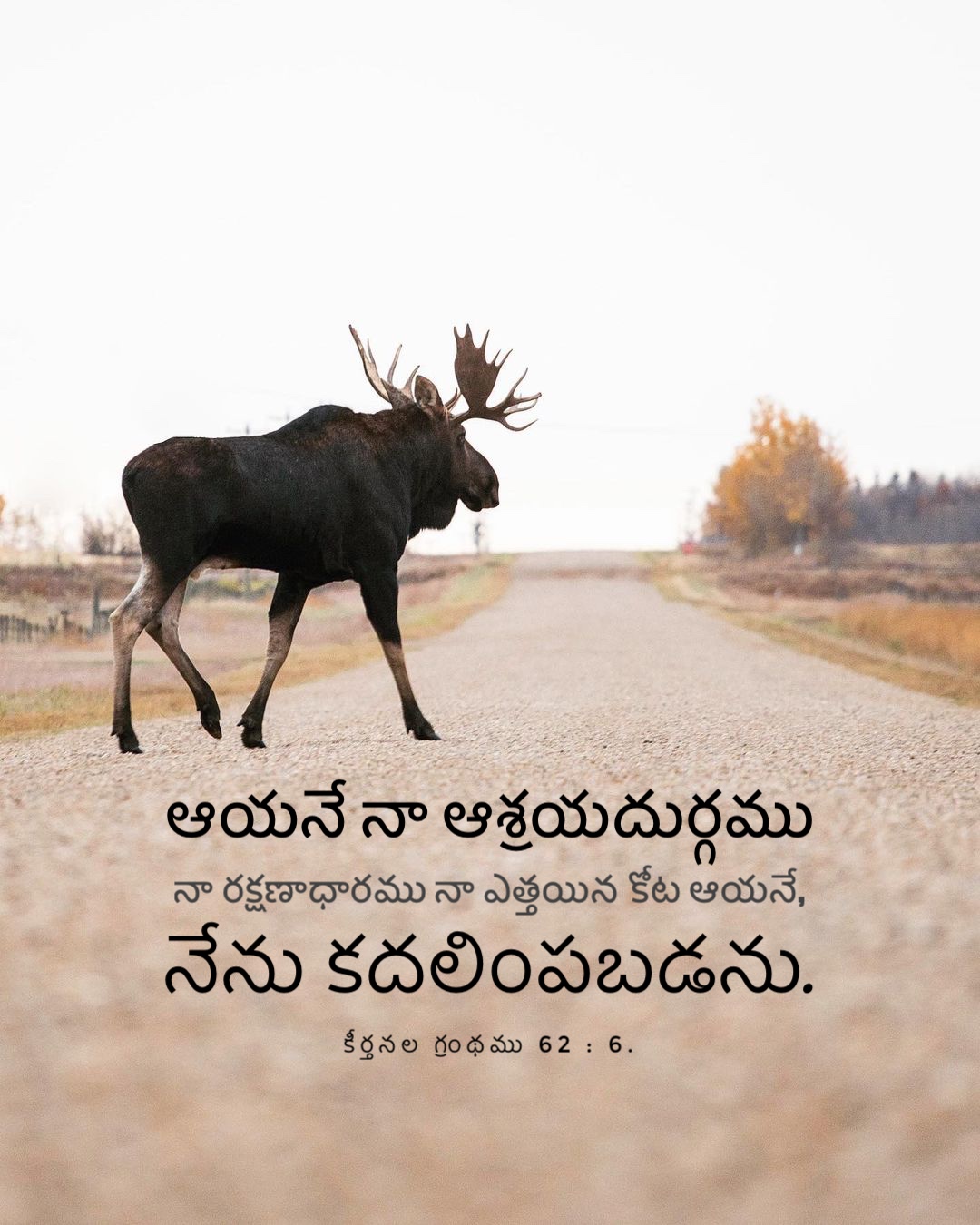 Psalm 62:6