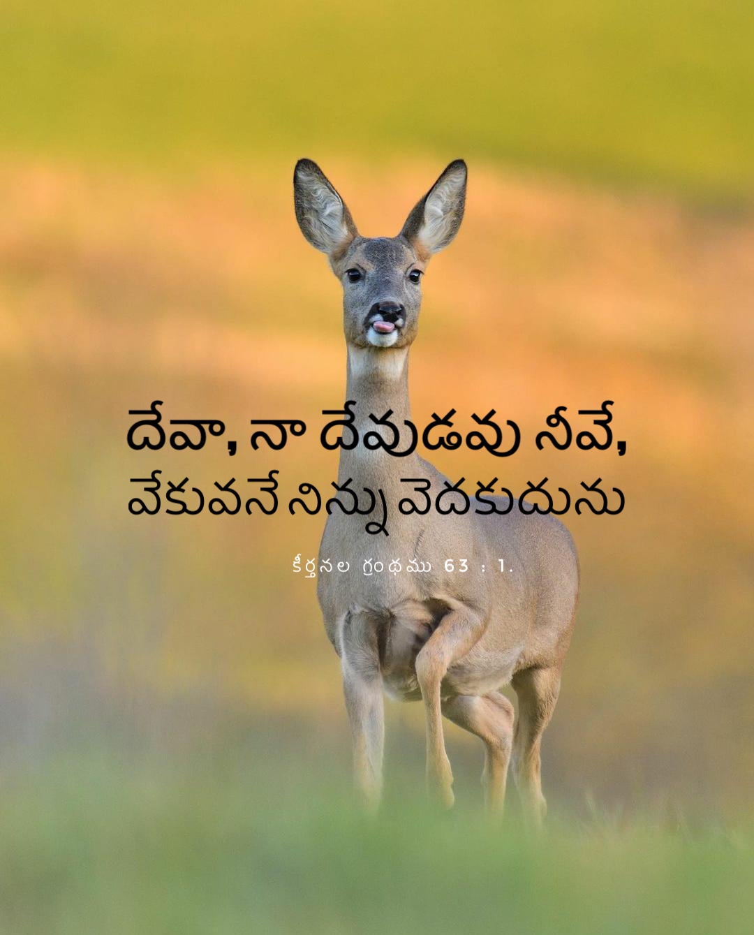 Psalm 63:1