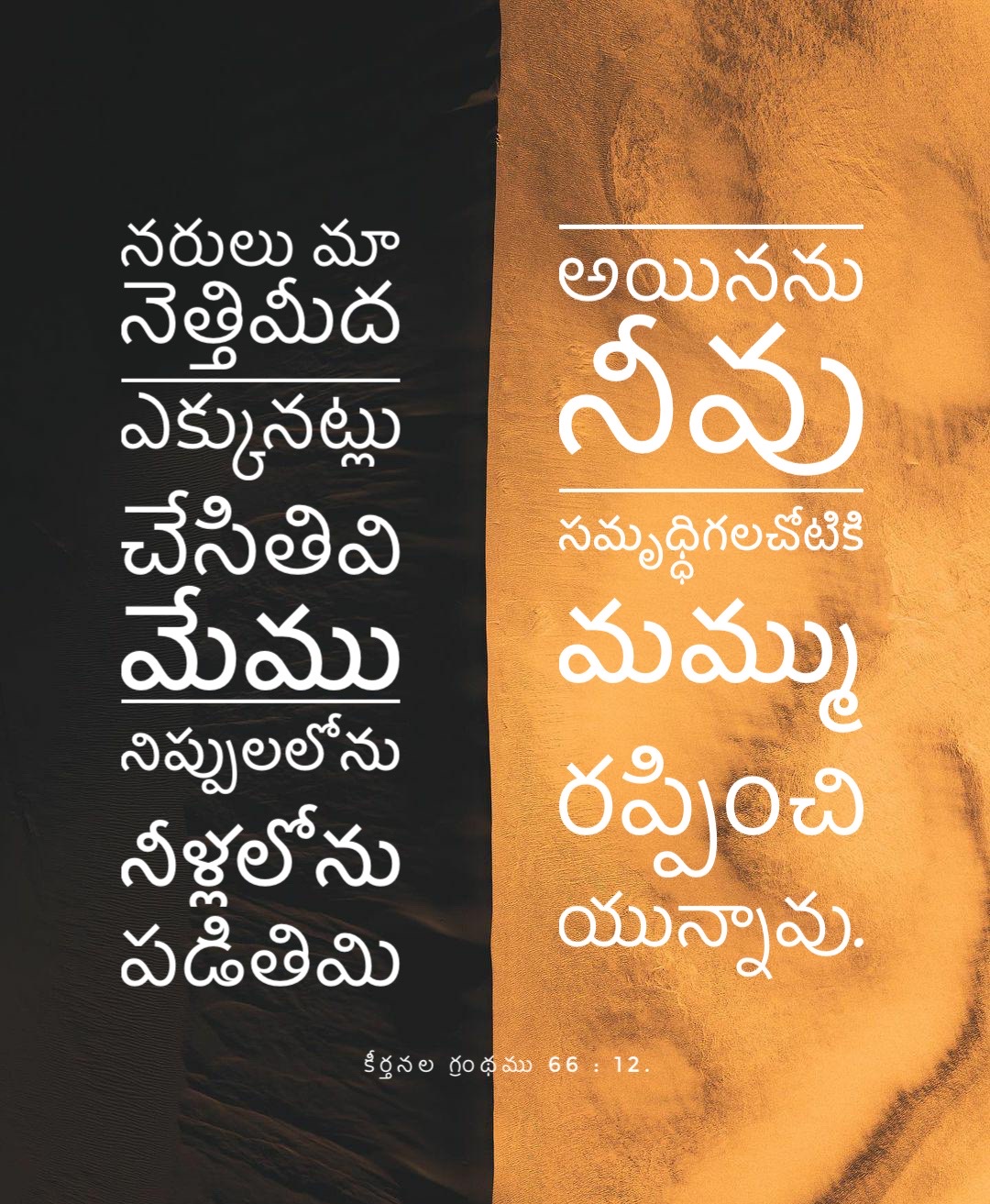 Psalm 66:12