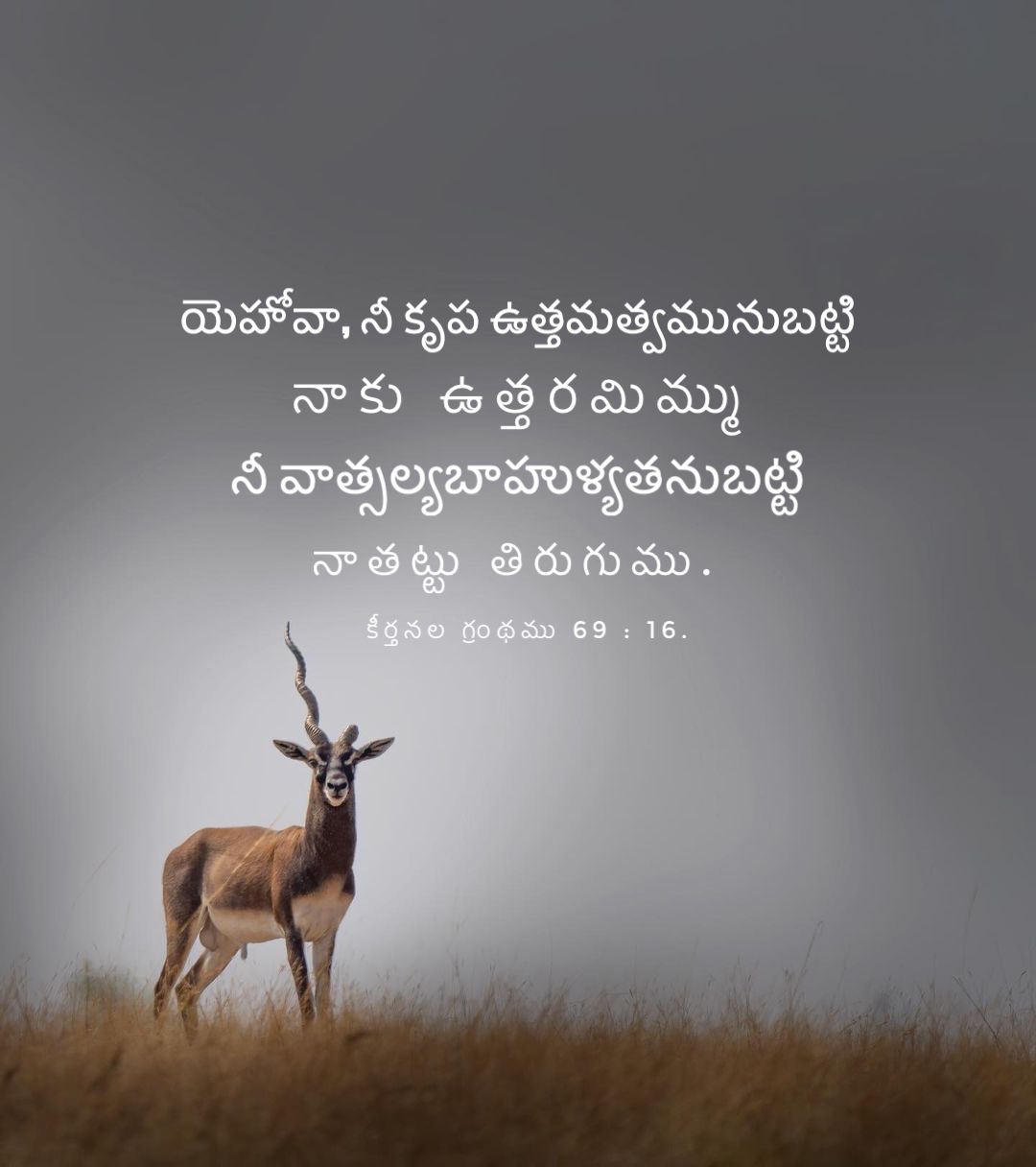 Psalm 69:16