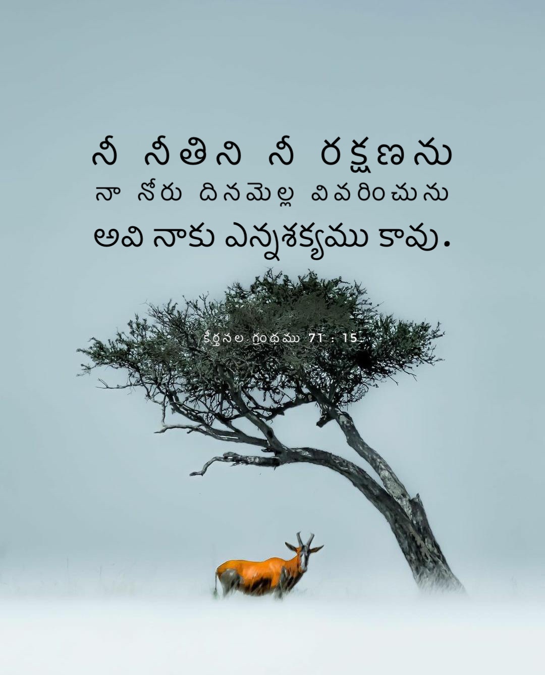 Psalm 71:15