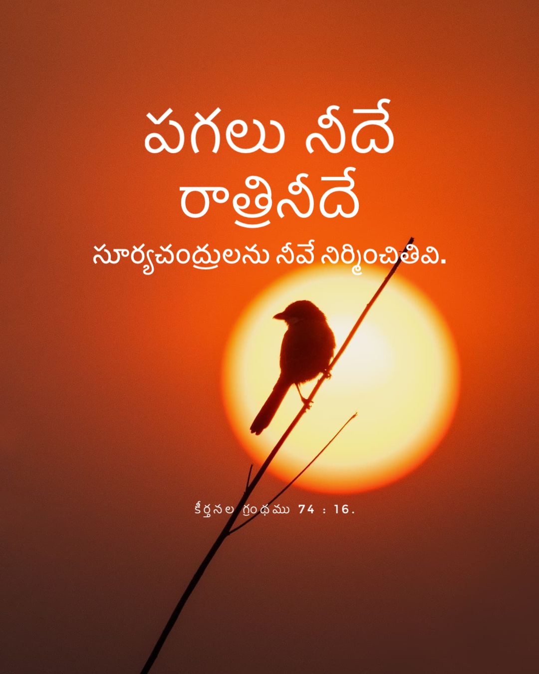 Psalm 74:16
