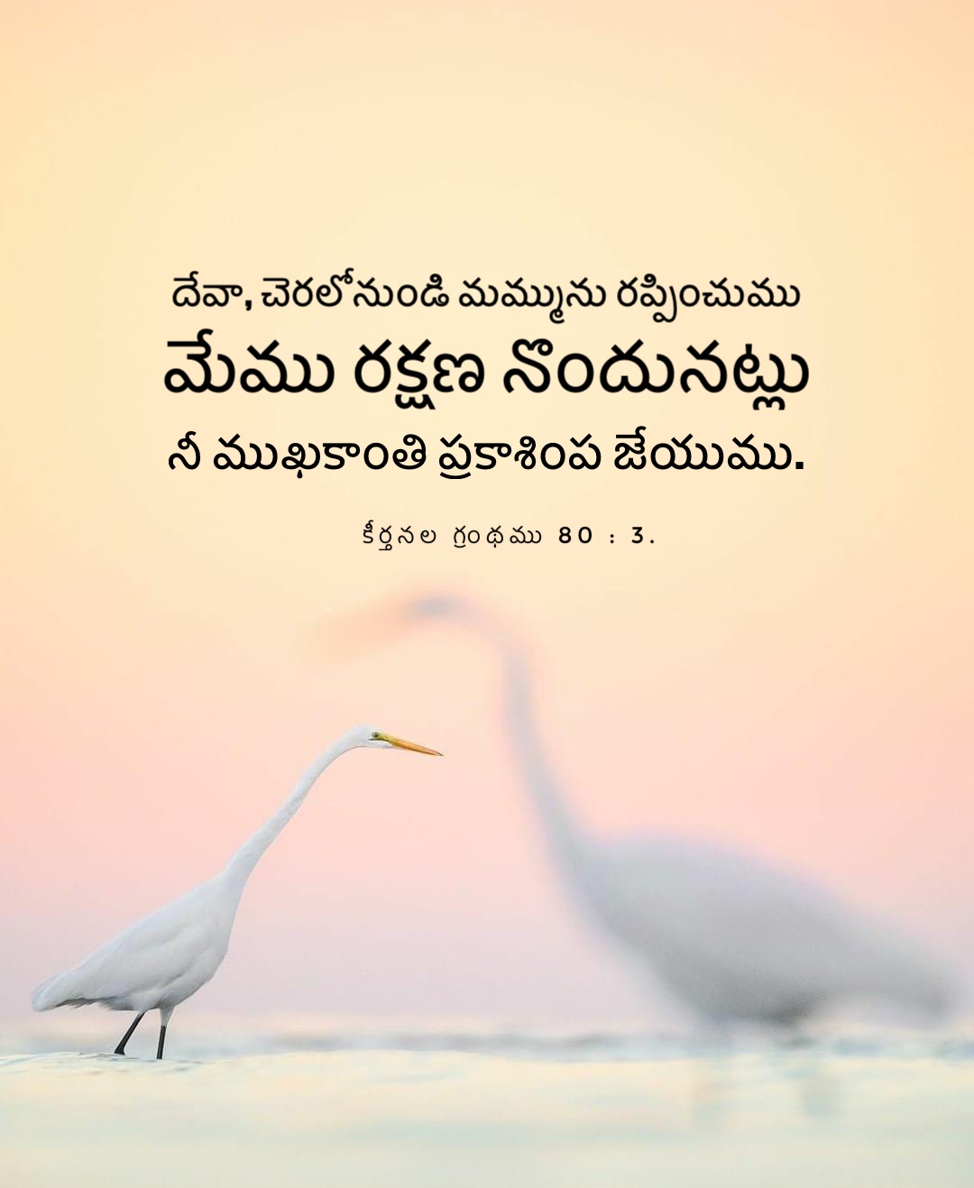 Psalm 80:3