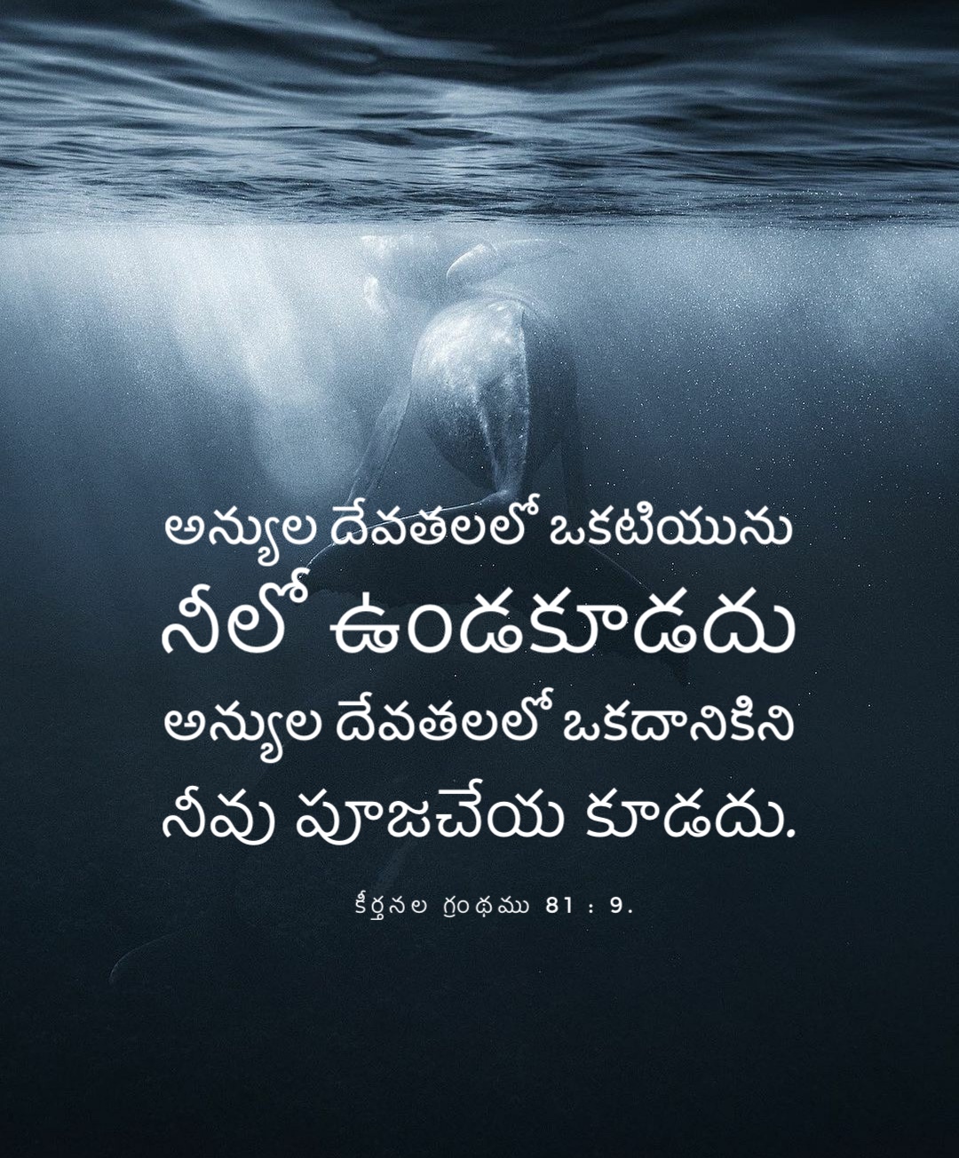 Psalm 81:9
