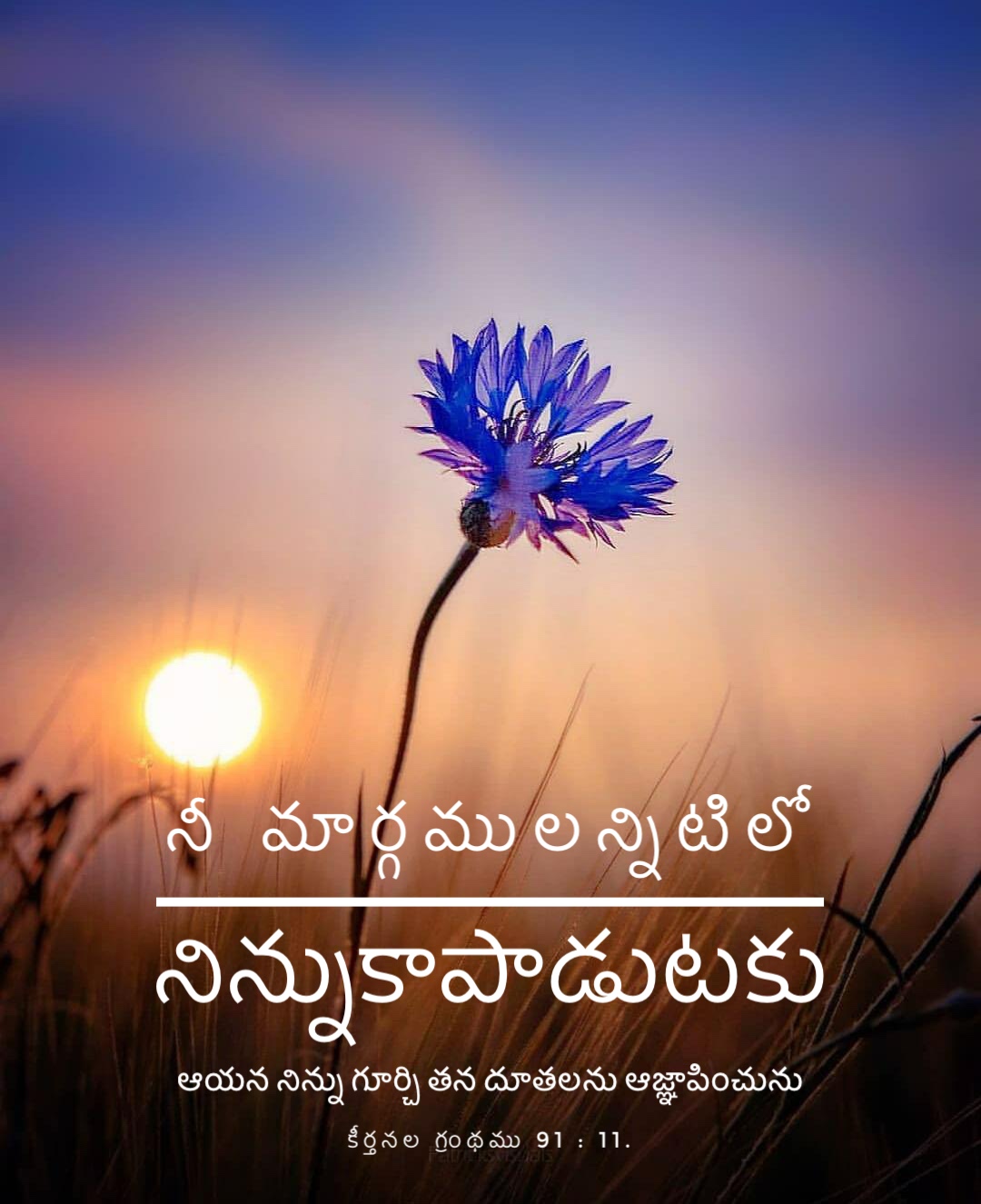 Psalm 91:11