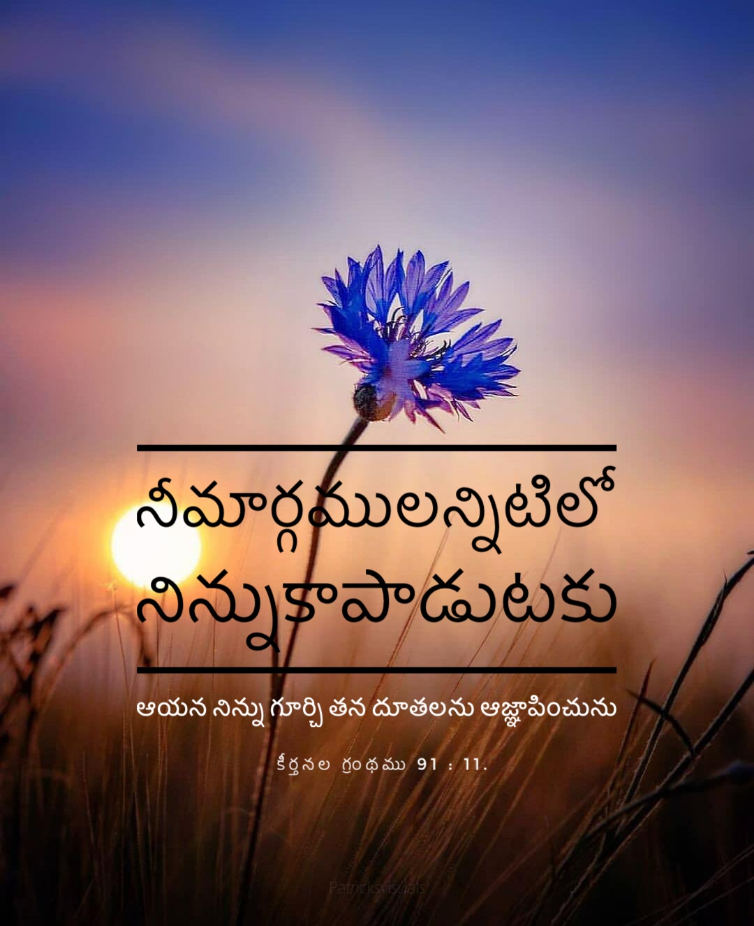 Psalm 91:11