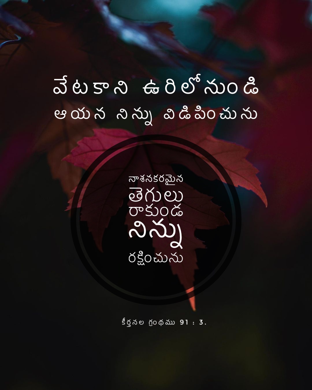 Psalm 91:3