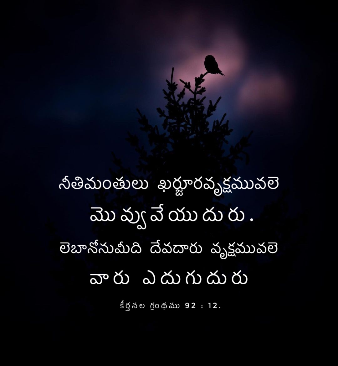 Psalm 92:12