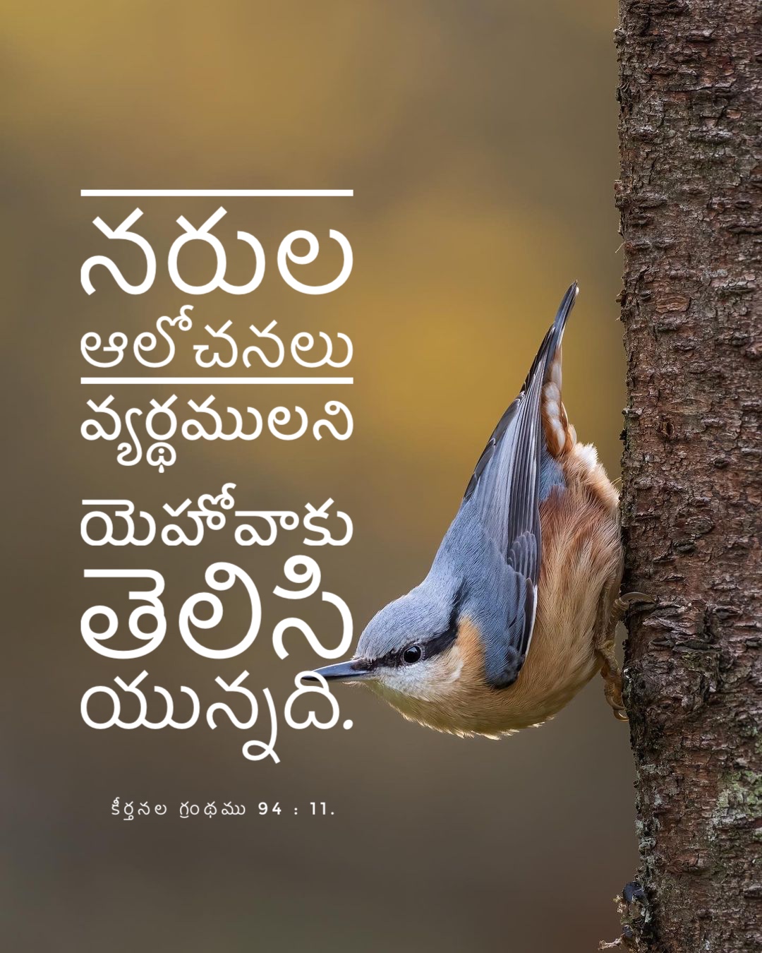 Psalm 94:11