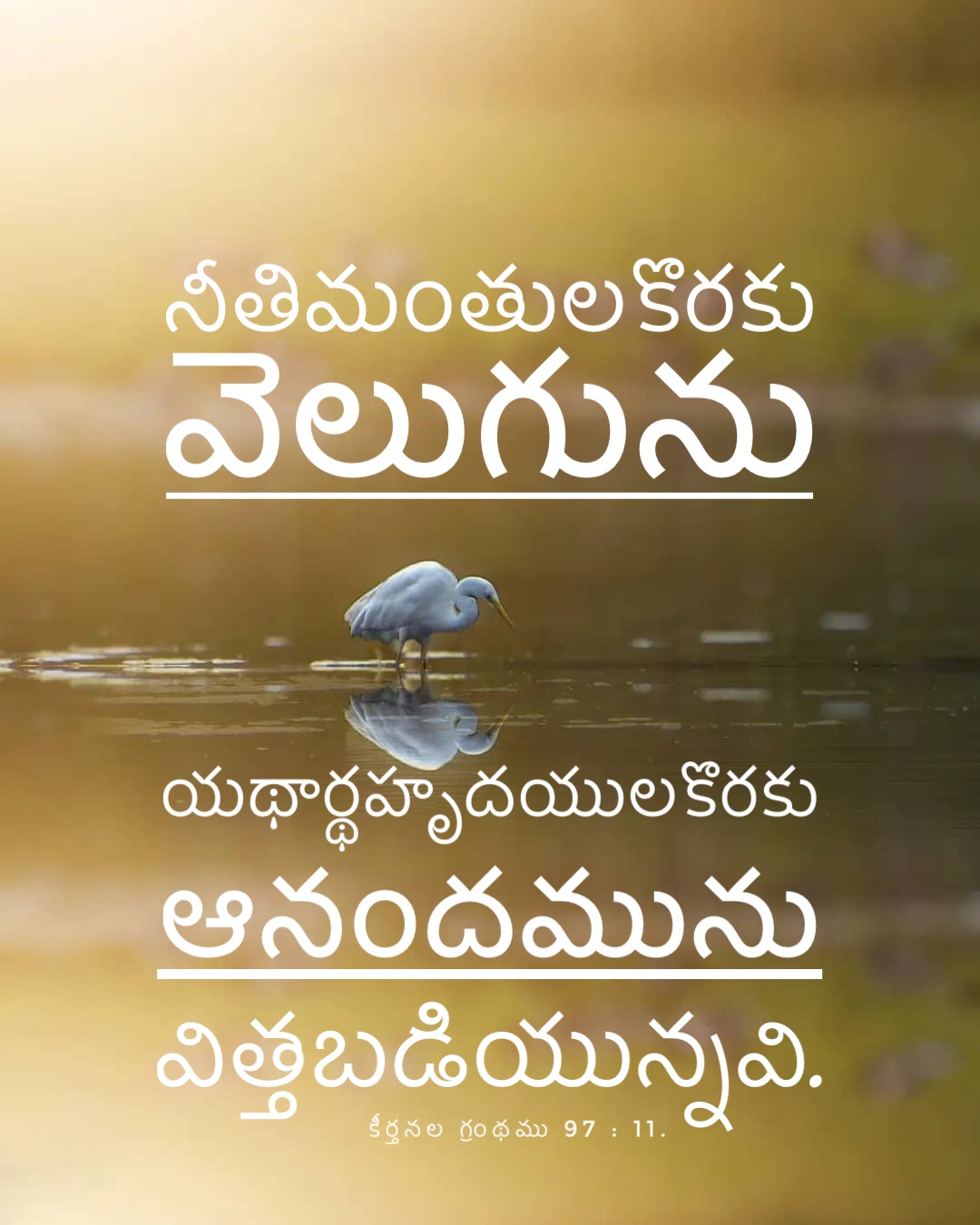 Psalm 97:11