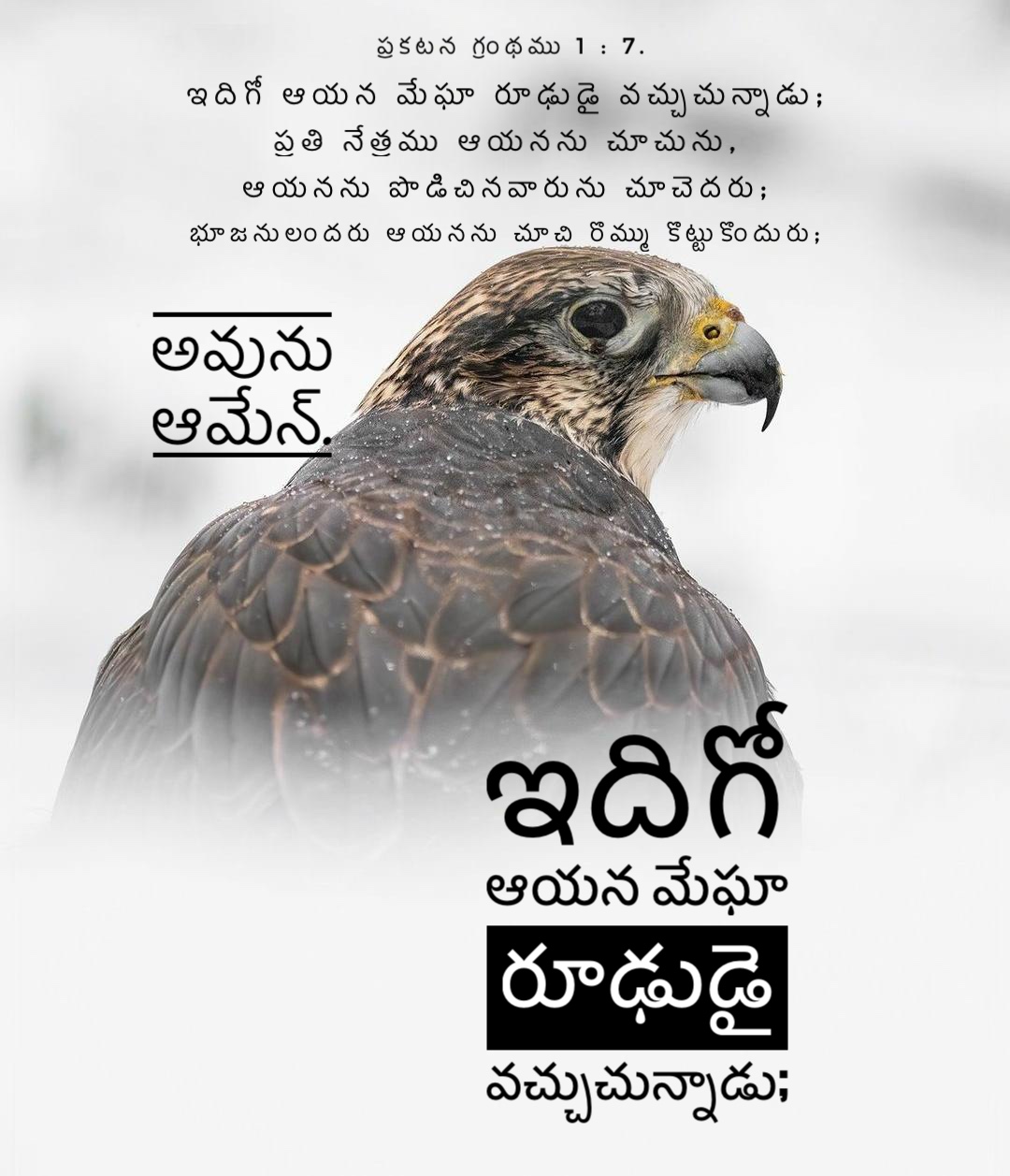 Revalation 1:7