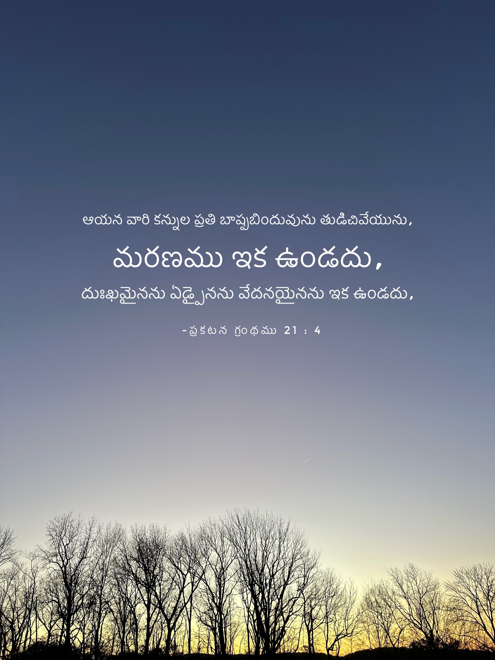Revelation 21:4
