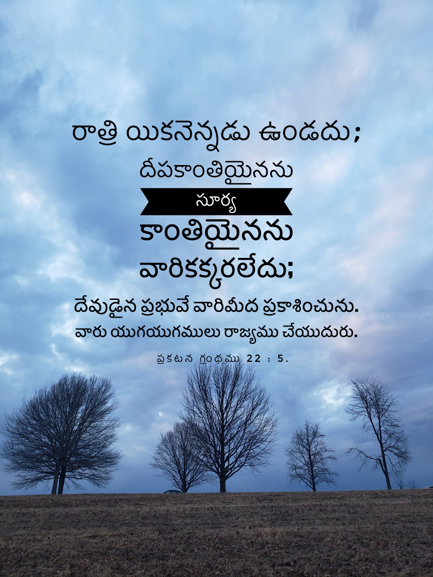 Revelation 22:5