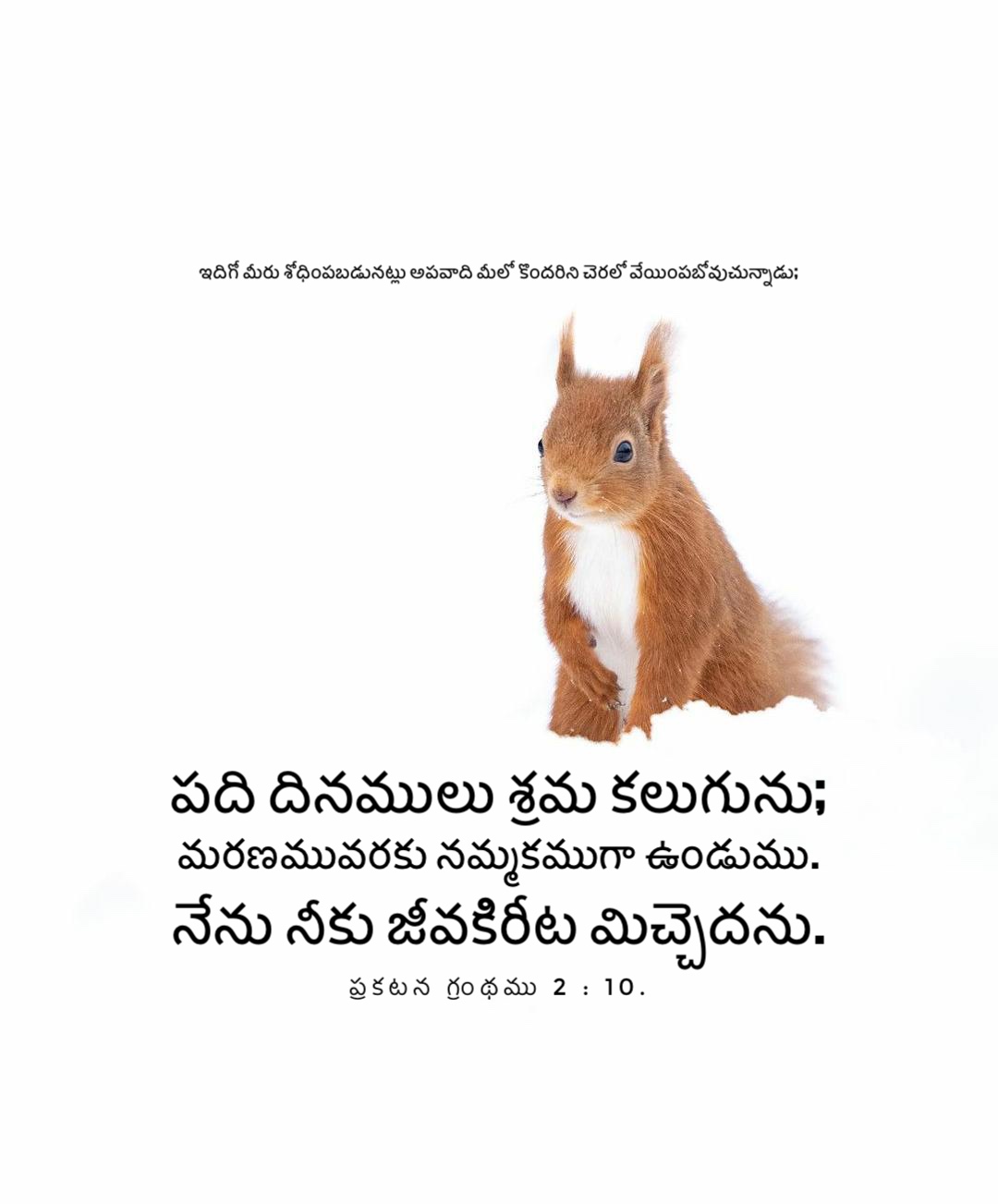 Revelation 2:10