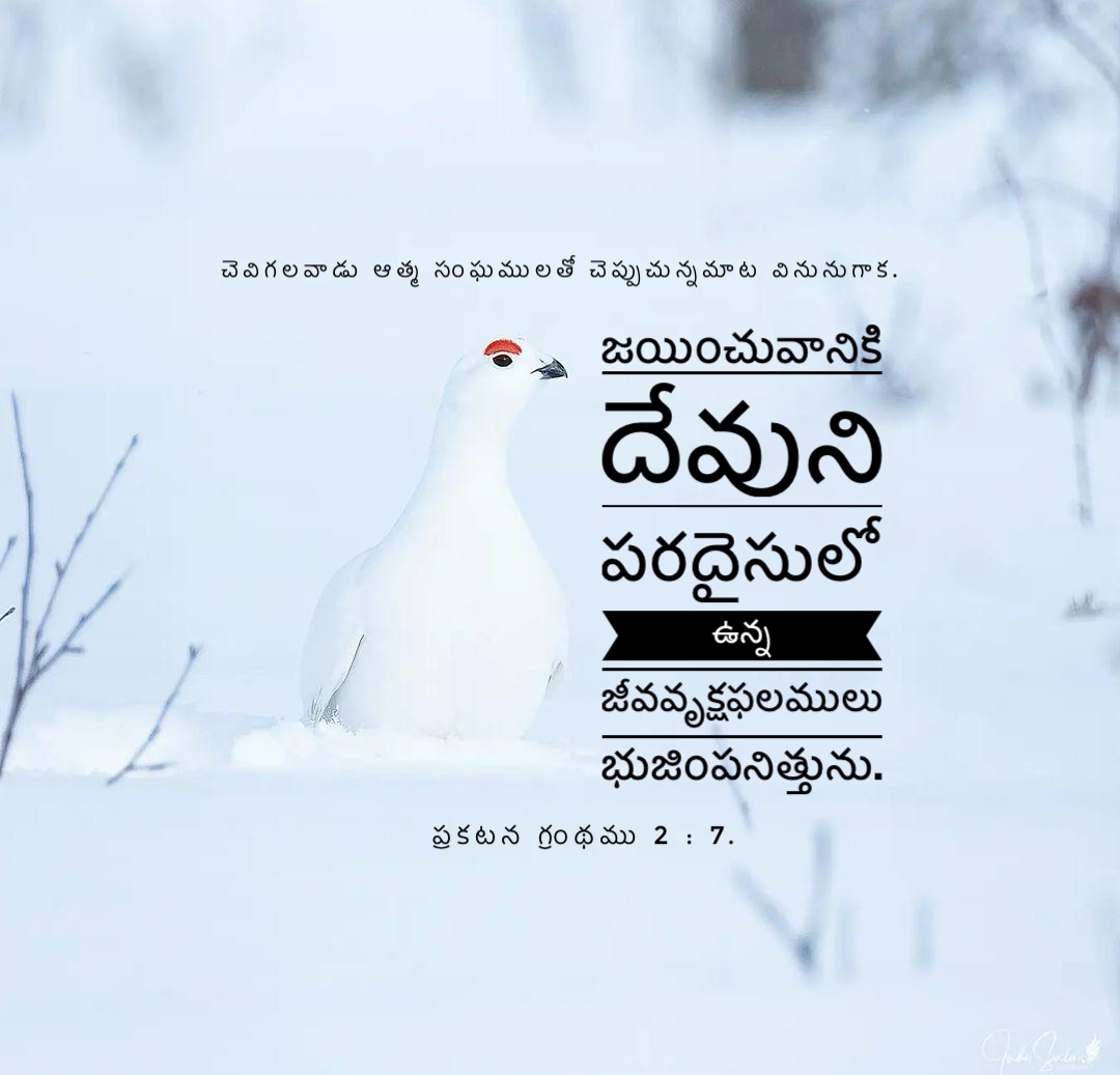 Revelation 2:7
