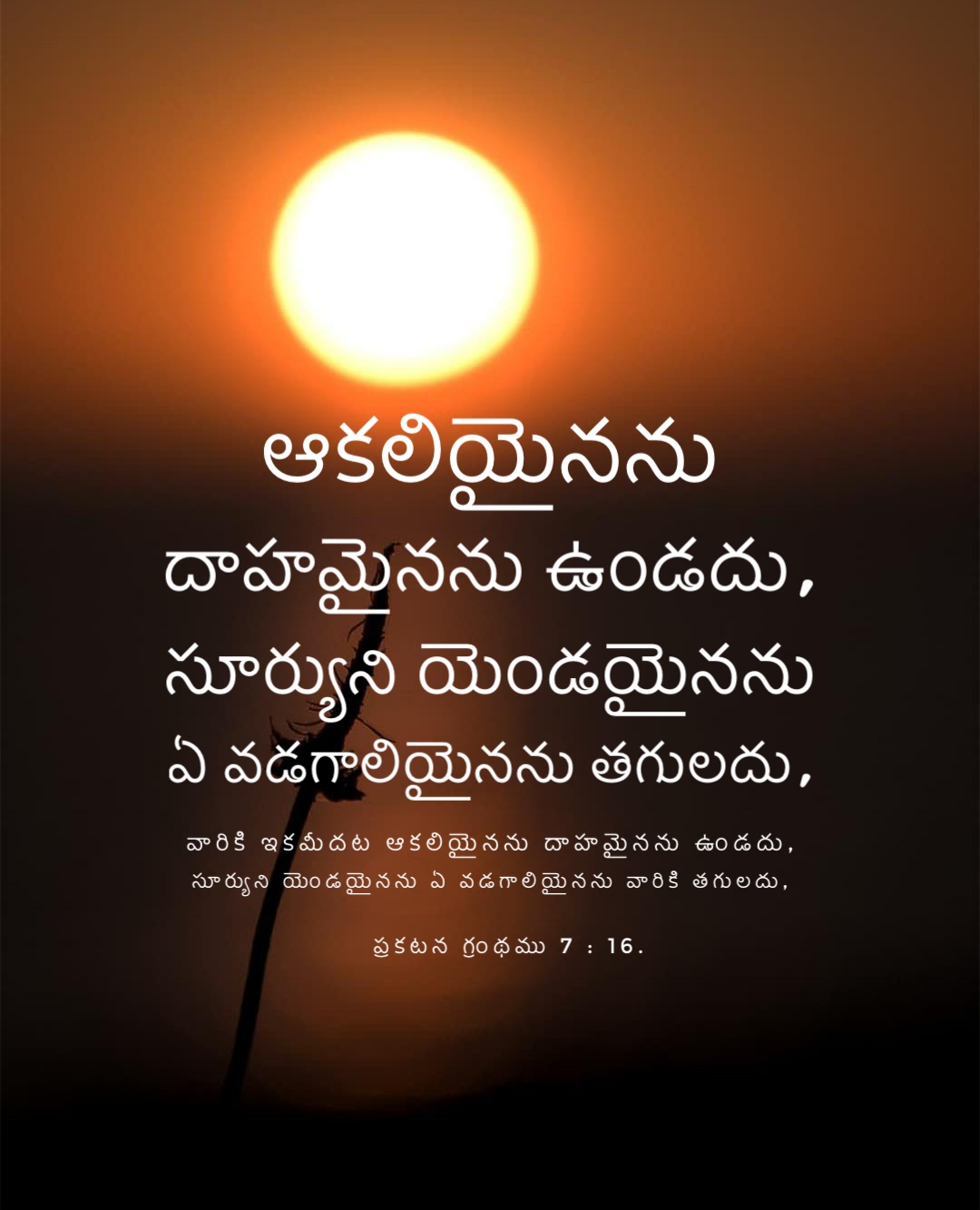 Revelation 7:16