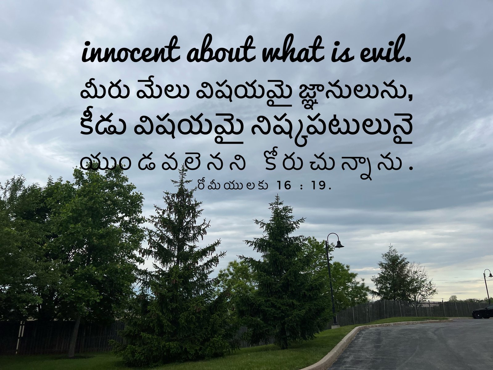 Romans 16:19